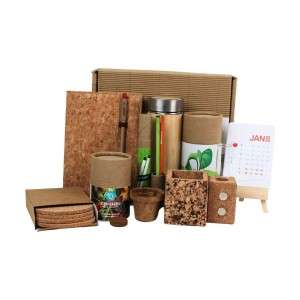 Eco-Friendly Office Gifts in Delhi